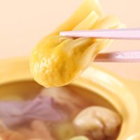窝小芽 一周营养小馄饨饺子童早餐食品无添加味精色素945g