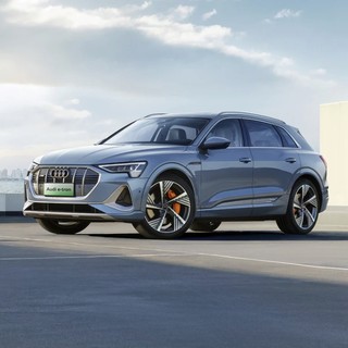 Audi 奥迪 e-tron 进口