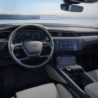 Audi 奥迪 e-tron 进口