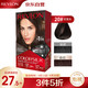 REVLON 露华浓 Revlon)染发剂染发膏霜时尚自然美发无刺激不伤发遮白无氨配方 丽然20#棕黑色130ml