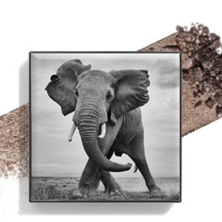 CHANTECAILLE 香缇卡 闪烁光采眼影 #ELEPHANT灰褐色 2.5g