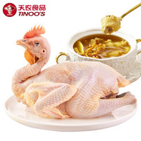 周三购食惠：天农 高原老母鸡  1.3kg