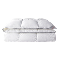 SIDANDA 诗丹娜 零系列 POZNAN波茲南 波兰鹅绒冬被 150*200cm