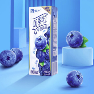 MENGNIU 蒙牛 真果粒 蓝莓果粒 牛奶饮品 250g*12盒