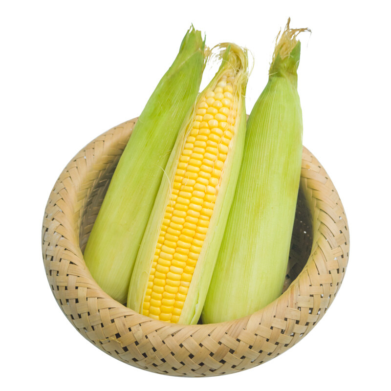 水果玉米甜玉米——新鲜与美味的结合