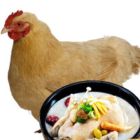 呈祥天雅 农村老母鸡 1kg