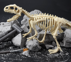 abay 考古挖掘恐龙 标准版