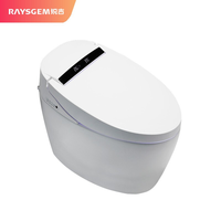 Raysgem 锐吉 一体智能马桶 A1智能标准版