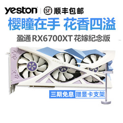 yeston 盈通 AMD盈通RX6700XT/6800XT樱瞳花嫁纪念 电脑游戏显卡 另有RX6600XT