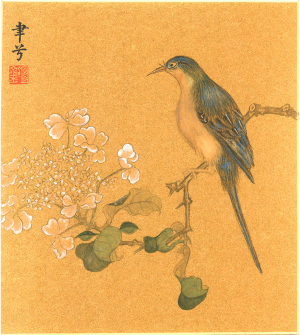 朶云轩胡韶光海派花鸟小品系列梅花鹦哥图27x24cm金笺卡纸