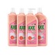 88VIP：AXE 斧头 西柚护肤洗洁精 1.18kg*4瓶
