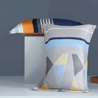 Bliss 百丽丝家纺 弗蓝卡 枕套  一对 48*74cm