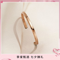 Daniel Wellington 丹尼尔惠灵顿 爆款手镯|DW 经典轻奢高雅纤巧纯色手镯女男情侣手环 镀金