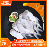 SAN DU GANG 三都港 东海白鲳鱼 白麟生鲜海鲜新鲜冷冻水产深海鱼类550g*2袋