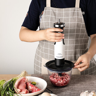 Morphy Richards 摩飞 MR6006 手持式料理机 白色