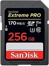 SanDisk 闪迪 Extreme PRO 储存卡 256GB