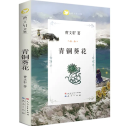 《青铜葵花》