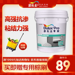 Dulux 多乐士 防水涂料 防水胶浆专业防水宝