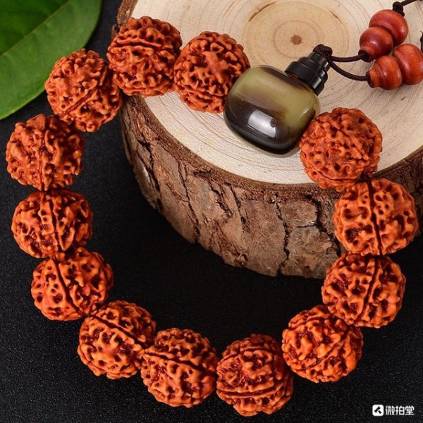 夹珠尼泊尔金刚手串20mm五瓣金刚菩提13颗