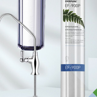 EVERPURE 爱惠浦 EF-900P 超滤净水器