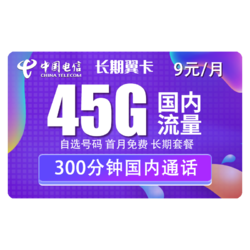 CHINA TELECOM 中国电信 长期翼卡（45G全国流量+300分钟）