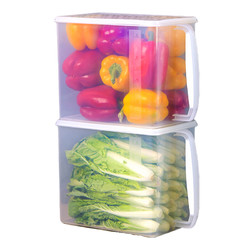 Citylong 禧天龙 保鲜盒冰箱收纳盒塑料保鲜盒储物盒 蔬菜水果密封盒冷藏盒 9L带把手 2只装