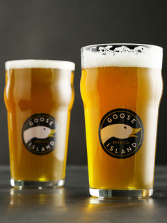 鹅岛 啤酒杯GOOSEISLAND专用杯英式皮尔森IPA精酿啤酒杯品脱杯定制