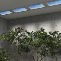 Yeelight 易来 S2101 吸顶青空灯