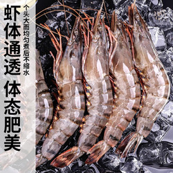 渔游记 越南黑虎虾  400g