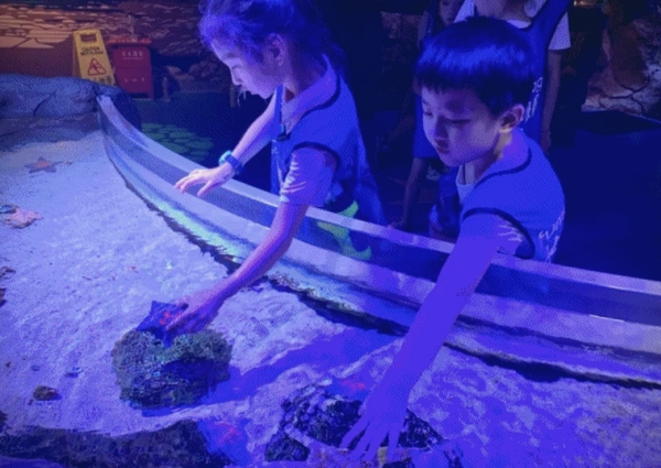 夜宿海洋馆！上海长风公园海世界 奇妙夜1晚（含2顿餐，限7岁及以上儿童）