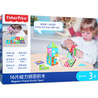 Fisher-Price 费雪 F1008 磁力拼图积木 16颗粒