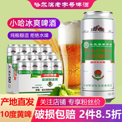 哈特 10度冰爽啤酒 东北特产 清爽甘醇 500ml*12听 整箱装