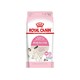 ROYAL CANIN 皇家 BK34离乳期奶糕猫粮400g