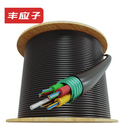 Fengyingzi 丰应子 FYZ-GYTS-72B1 GYTA/GYTS光缆72芯2000米 室外层绞式单模铠装光纤光缆 电信级架空
