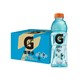 88VIP：GATORADE 佳得乐 蓝莓味 电解质功能饮料 600ml*15瓶