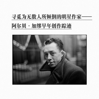 《寻找〈局外人〉：加缪与一部文学经典的命运》