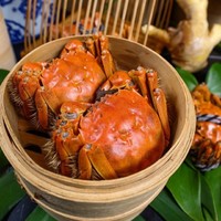 国庆/周末专享！分分钟回本！上海闵行宝龙艾美酒店 疯狂“蟹”逅海鲜自助晚餐