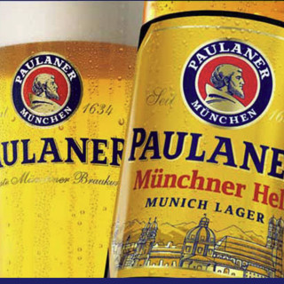 PAULANER 保拉纳 小麦黑啤酒 500ml*20瓶