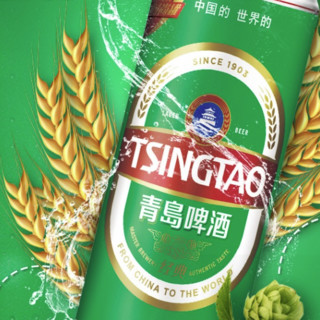 TSINGTAO 青岛啤酒 经典11度啤酒 330ml*18听