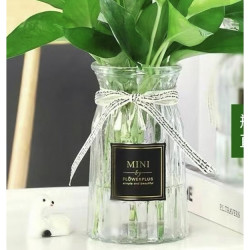 透明花瓶 泰西丝六角玻璃花瓶图案随机多少钱 什么值得买