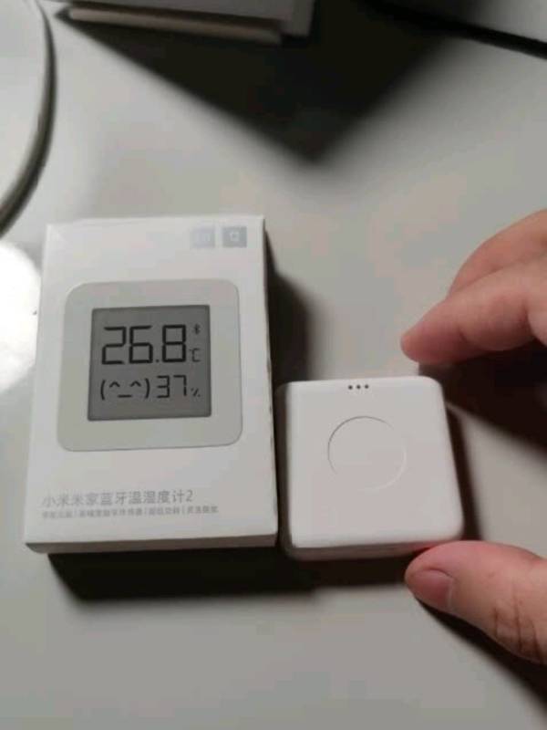 MIJIA 米家 LYWSDO2MMC 蓝牙温湿度计 白色多少钱-什么值得买