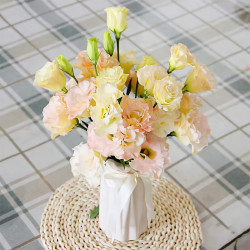 春天到家洋桔梗1012花苞含防损香槟色