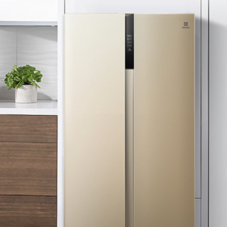 Electrolux 伊莱克斯 ESE5118TD 风冷对开门冰箱 516L 质感金