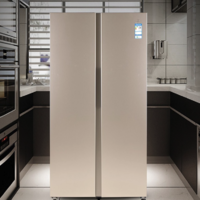 伊莱克斯 BCD-600SITD 风冷对开门冰箱 603L 印象金