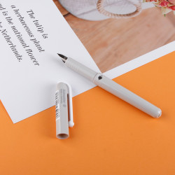 schneider施耐德钢笔bk系列bk410太空灰ef尖单支装