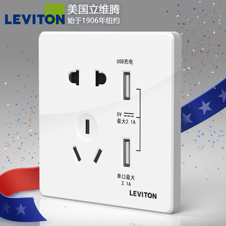 美国立维腾（LEVITON） 开关插座面板 USB五孔插座 家用墙壁插座面板多孔 二三5孔五孔插座 五孔插座带USB插座