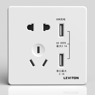 美国立维腾（LEVITON） 开关插座面板 USB五孔插座 家用墙壁插座面板多孔 二三5孔五孔插座 五孔插座带USB插座