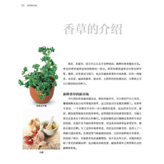 《DK香草与香料》（精装）