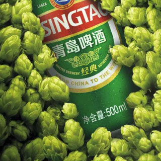 TSINGTAO 青岛啤酒 经典10度啤酒 500ml*18听