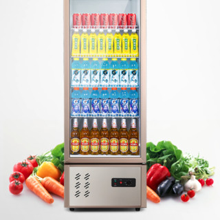 Frestec 新飞 278升立式单门商用冷藏冰箱展示柜 超市饮料啤酒保鲜冷柜 冷饮茶叶陈列冰柜 SC-298XD